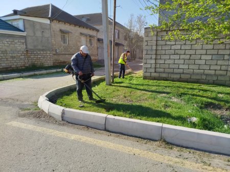 Yevlax şəhərində növbəti iməcilik keçirilib  Yevlax şəhərində növbəti iməcilik keçirilib