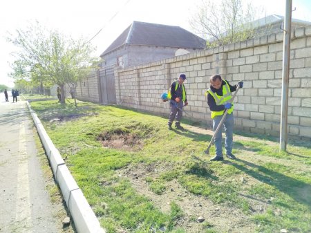 Yevlax şəhərində növbəti iməcilik keçirilib  Yevlax şəhərində növbəti iməcilik keçirilib