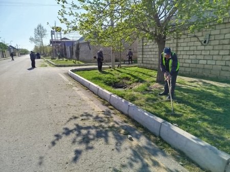 Yevlax şəhərində növbəti iməcilik keçirilib  Yevlax şəhərində növbəti iməcilik keçirilib