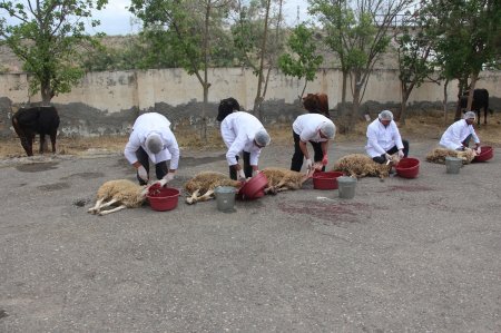 Yevlaxda 3000 ailəyə qurban payı verilib