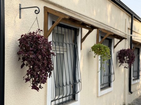 Gəncədə dekorativ gül dibçəkləri müvəqqəti olaraq götürülür - Fotolar