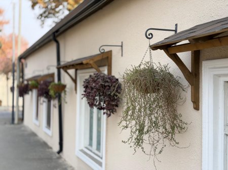 Gəncədə dekorativ gül dibçəkləri müvəqqəti olaraq götürülür - Fotolar