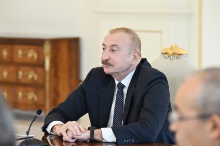 Prezident bu şirkətlərin rəhbərlərini qəbul etdi - Fotolar