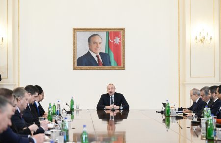Prezident bu şirkətlərin rəhbərlərini qəbul etdi - Fotolar