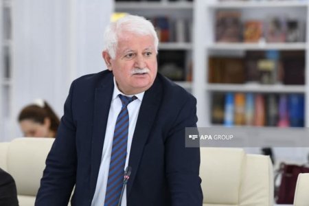 "Medianın dili elmi müzakirə müstəvisində" - Mətbuat Şurası və AMEA birgə toplantı keçirib