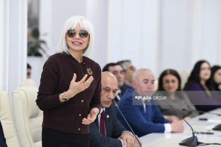 "Medianın dili elmi müzakirə müstəvisində" - Mətbuat Şurası və AMEA birgə toplantı keçirib