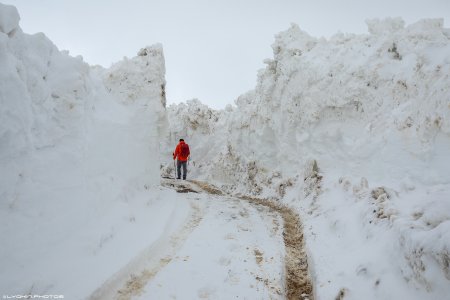 Yazı da qışdır... - Fotolar