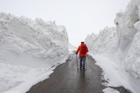 Yazı da qışdır... - Fotolar