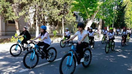 Mingəçevir Dövlət Universitetində “I Yaşıl Kampus İdman Festivalı”: Sağlam həyat tərzi, ekoloji düşüncə və yaşıl gələcək naminə genişmiqyaslı idman hərəkatı. FOTOLAR