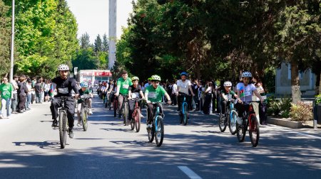 Mingəçevir Dövlət Universitetində “I Yaşıl Kampus İdman Festivalı”: Sağlam həyat tərzi, ekoloji düşüncə və yaşıl gələcək naminə genişmiqyaslı idman hərəkatı. FOTOLAR