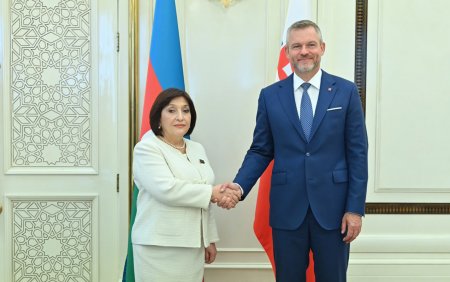 Sahibə Qafarova Pelleqrini ilə görüşüb - Foto